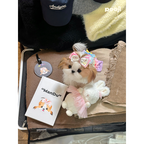 Cuaderno: un recipiente conmovedor para tus historias compartidas