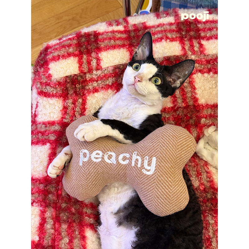 Almohada de hueso bordada: cada puntada.