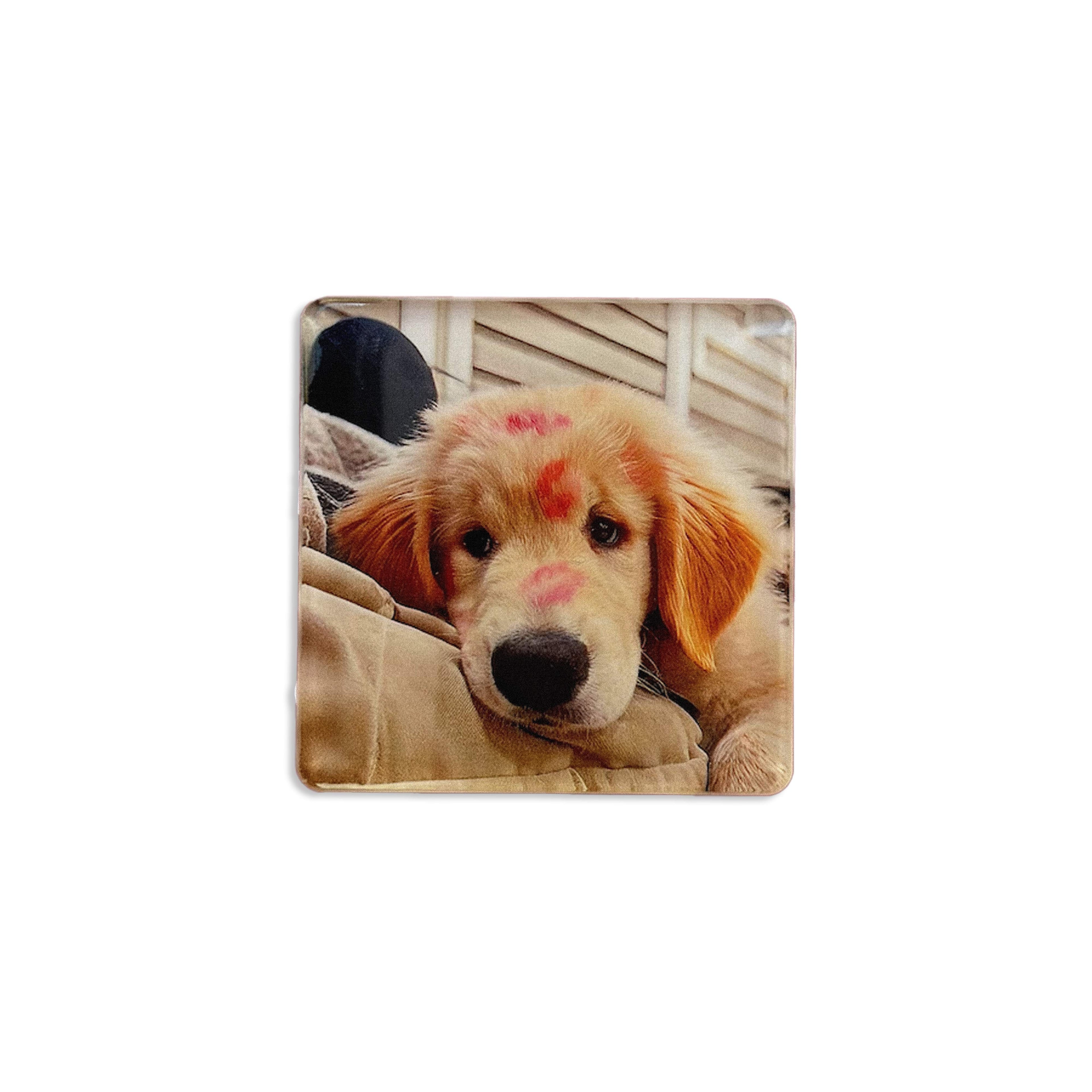 Custom Pet Acrylic Magnet