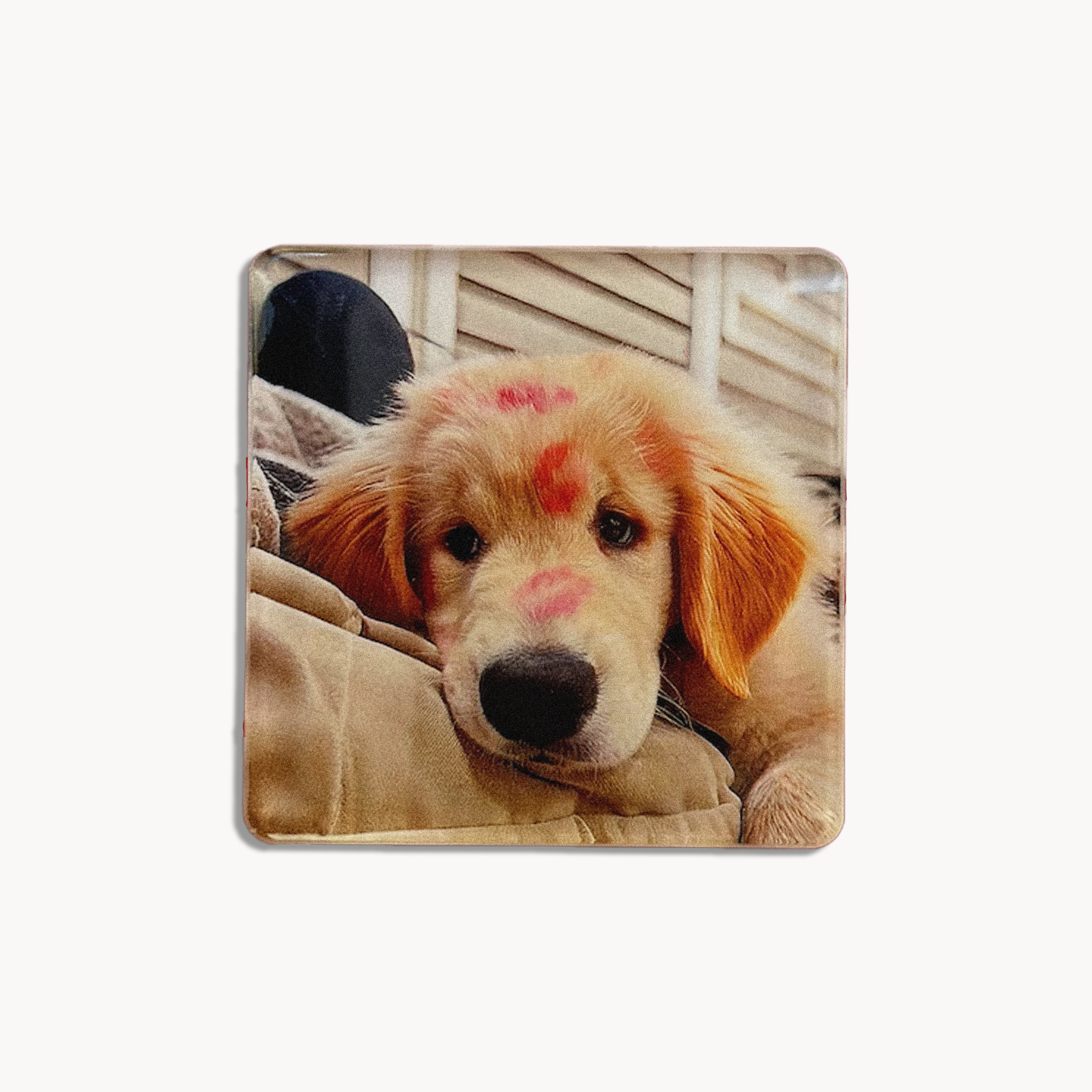 Custom Pet Acrylic Magnet