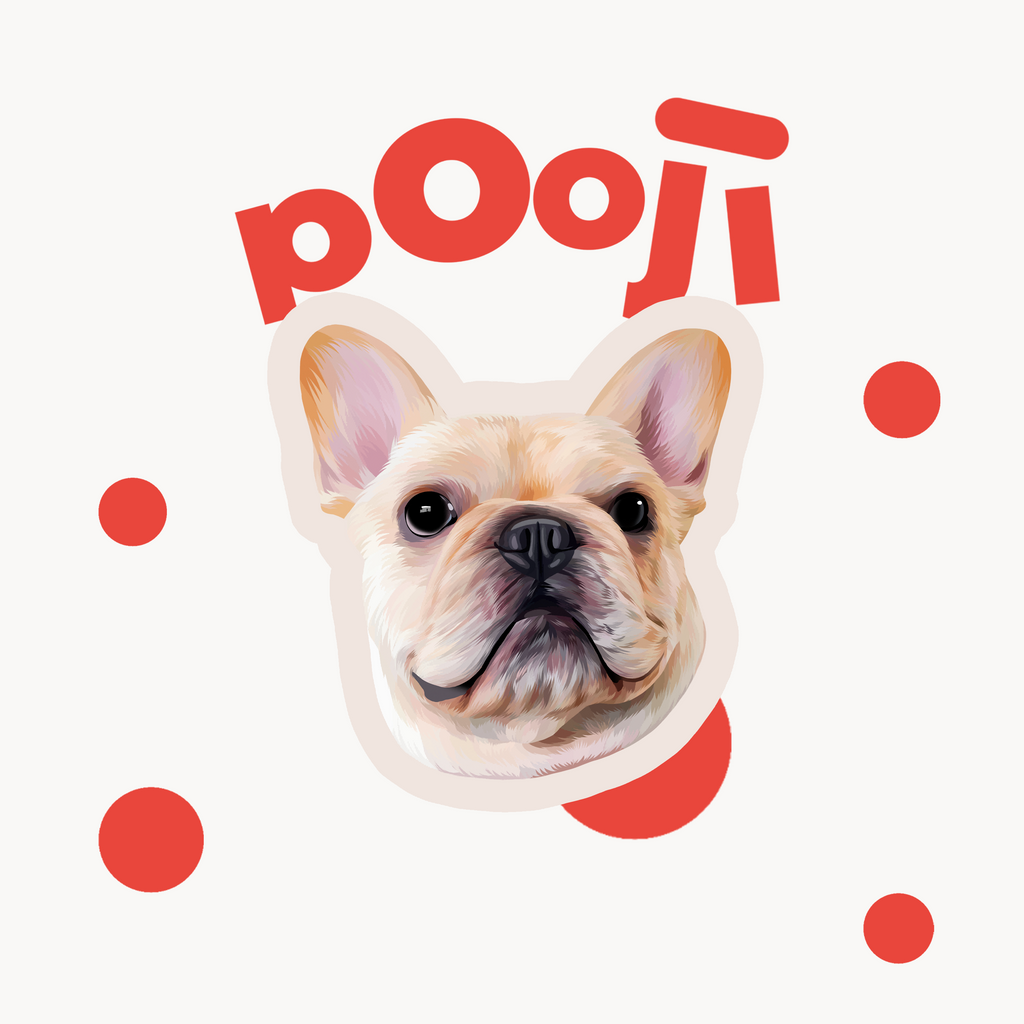 POOJI Ilustración digital de mascota personalizada | Arte original 100% dibujado a mano y Fondo de pantalla para teléfono