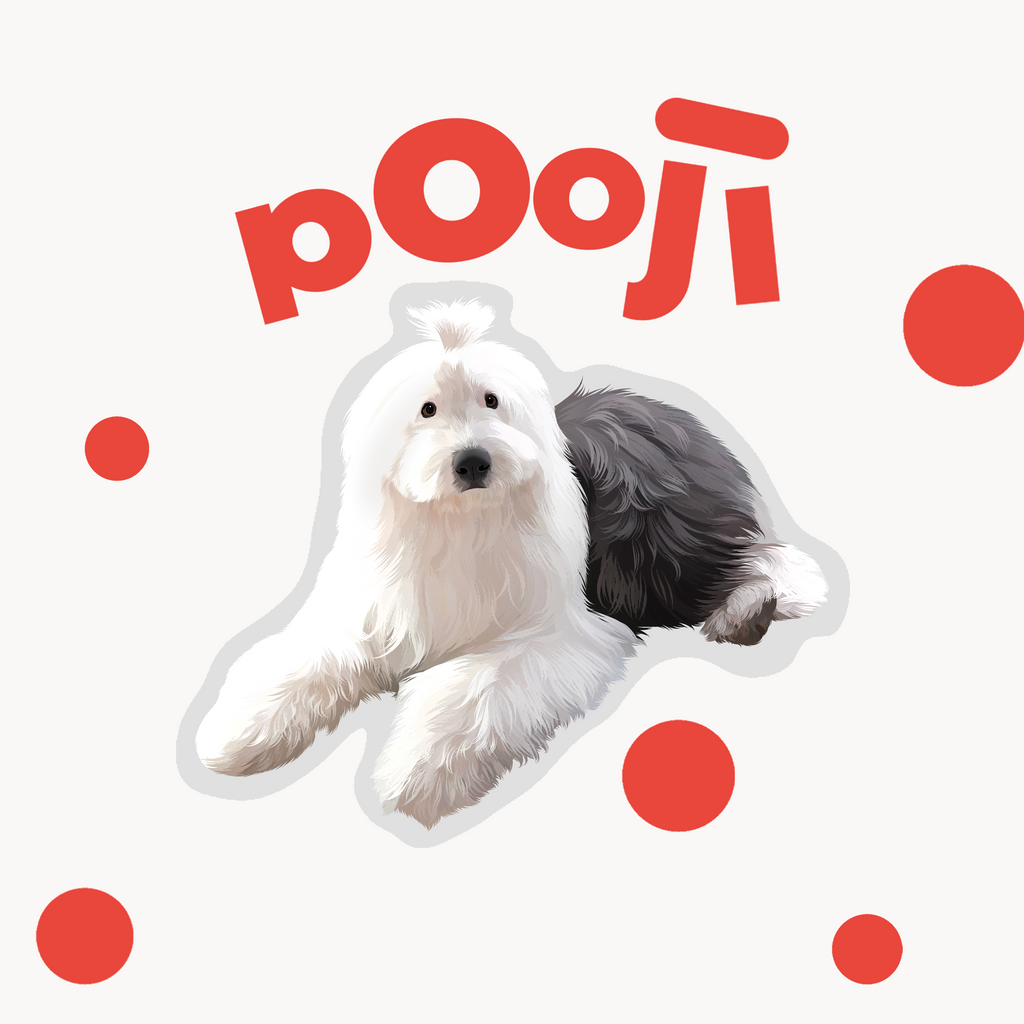 POOJI Ilustración digital de mascota personalizada | Arte original 100% dibujado a mano y Fondo de pantalla para teléfono