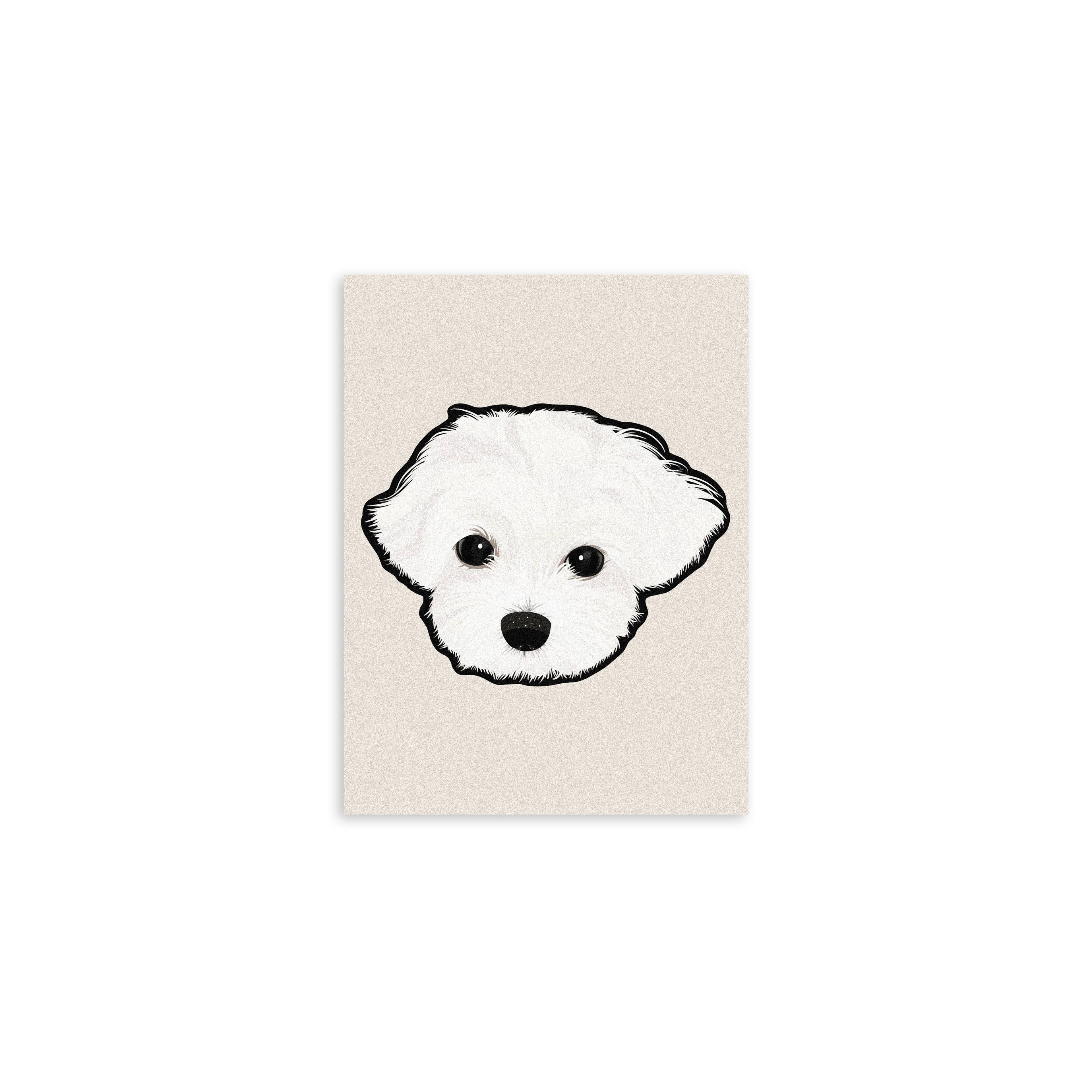Custom Pet Printed Blanket