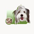 POOJI Ilustración digital de mascota personalizada | Arte original 100% dibujado a mano y Fondo de pantalla para teléfono