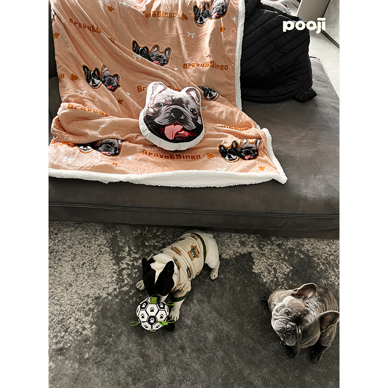 Almohada con Retrato: Presencia Confortable