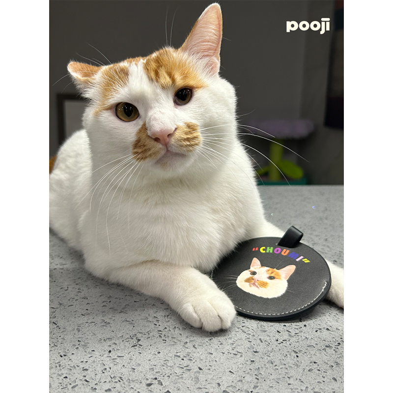 Custom Pet Portrait Luggage Tag