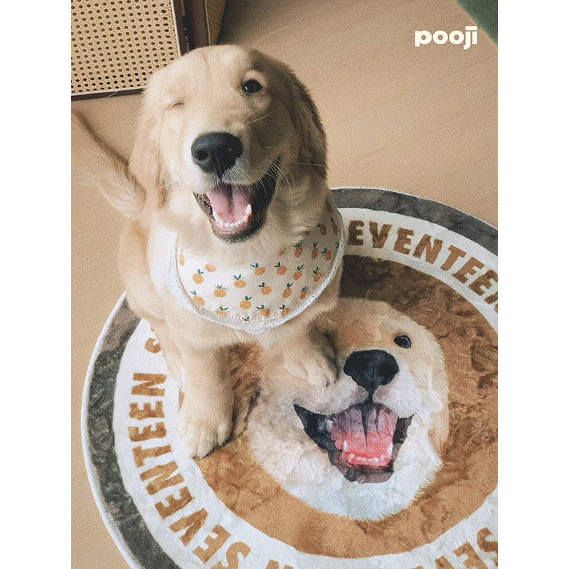 Custom Pet Portrait Rug