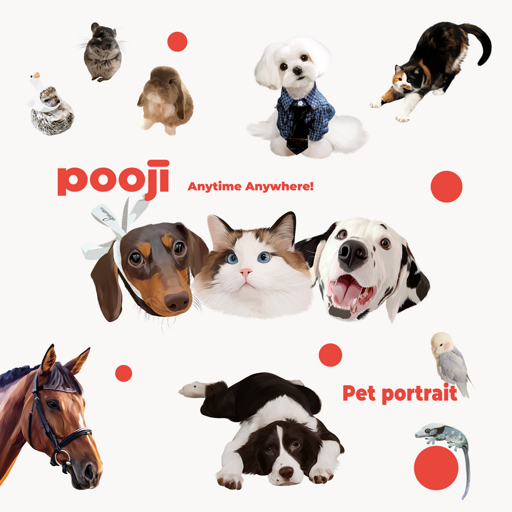 POOJI Ilustración digital de mascota personalizada | Arte original 100% dibujado a mano y Fondo de pantalla para teléfono