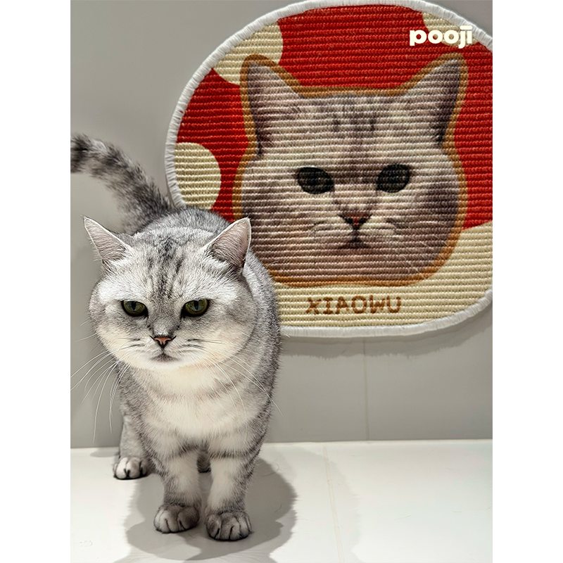 Rascador de sisal: Serie "Pequeño artista"