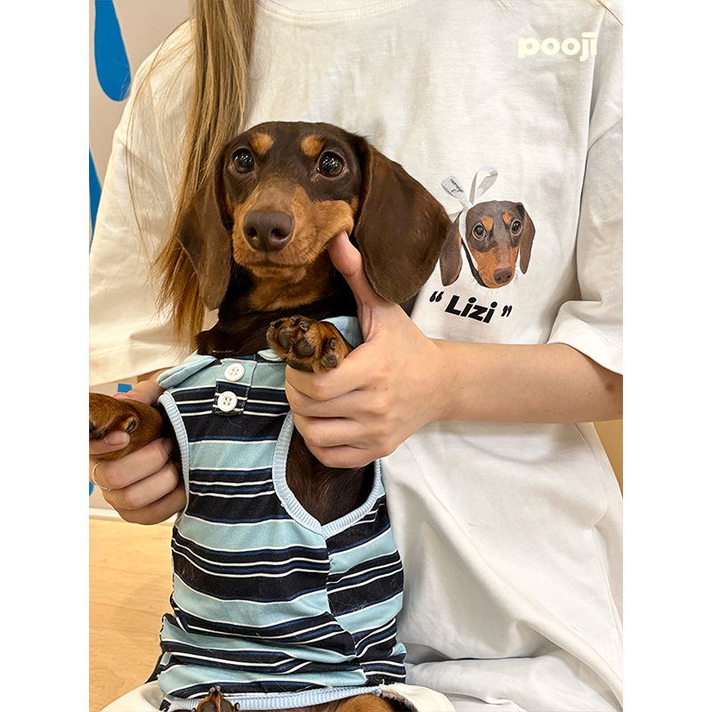 T-shirt personnalisé pour animaux de compagnie