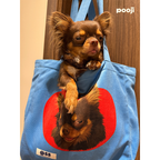 Bolso de mano vertical: Tu compañero de viaje