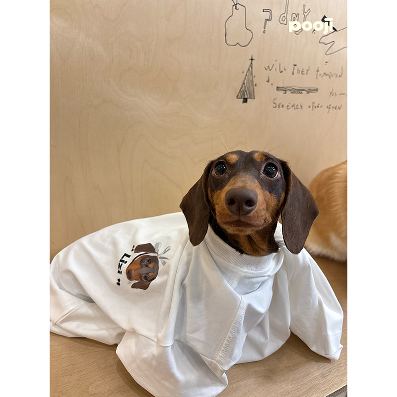 T-shirt personnalisé pour animaux de compagnie