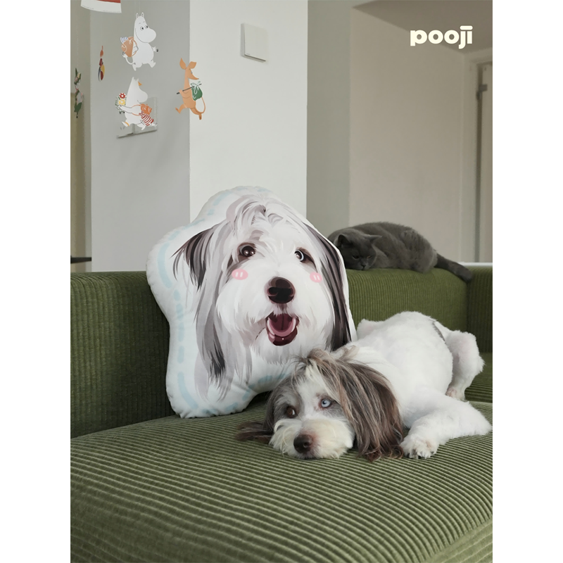 Almohada con Retrato: Presencia Confortable
