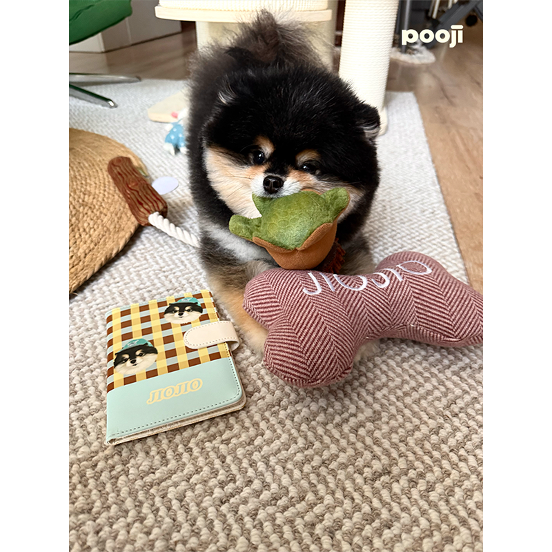 Almohada de hueso bordada: cada puntada.