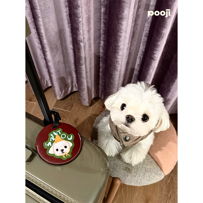 Custom Pet Portrait Luggage Tag