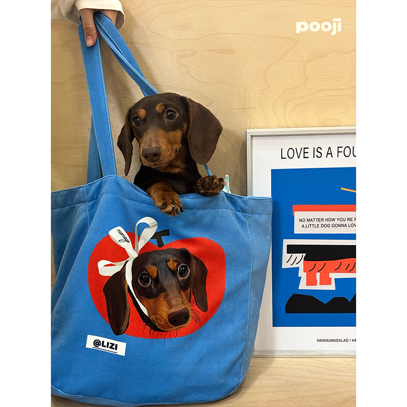 Bolso de mano vertical: Tu compañero de viaje